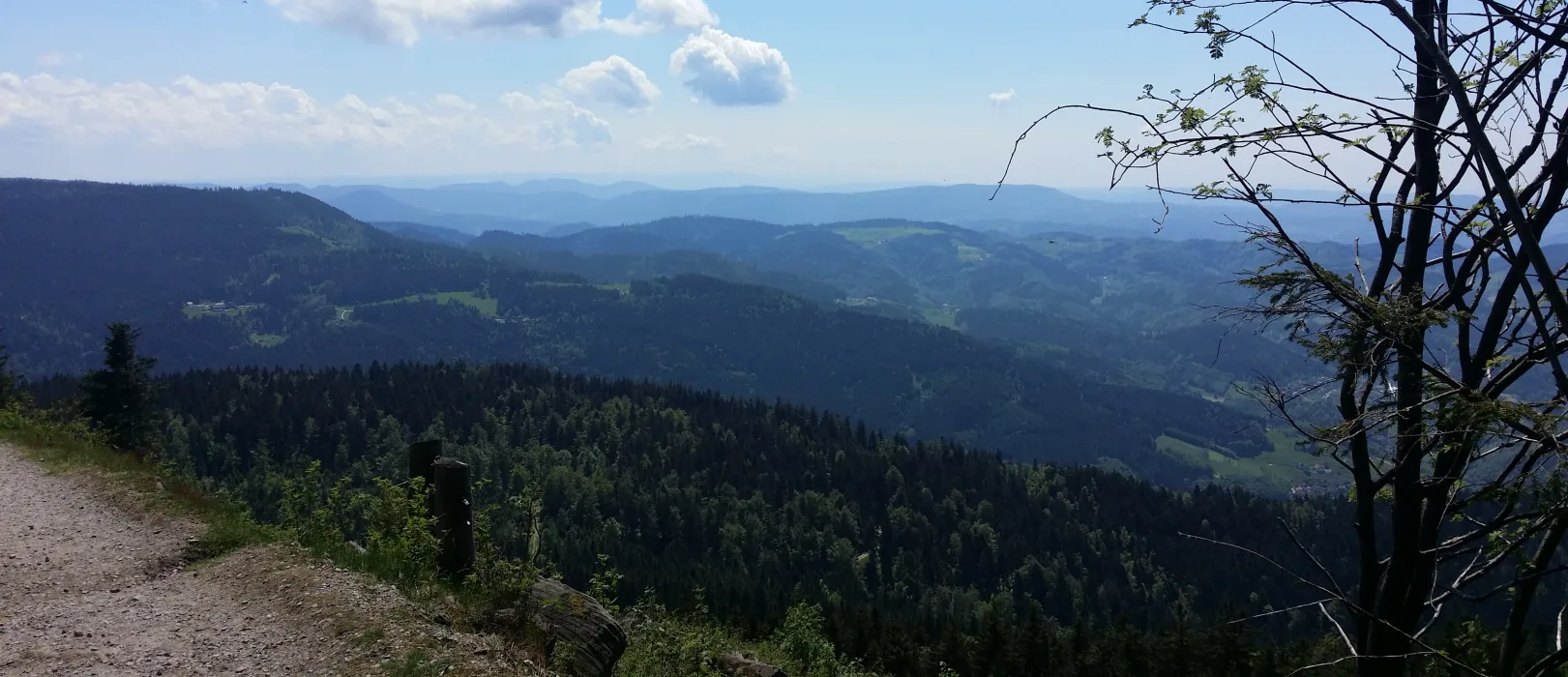 Urlaub mit Hund