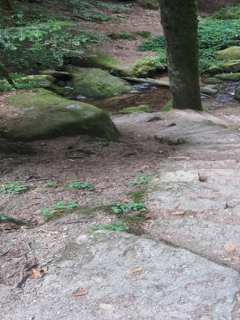 Gemütlich spazieren, wandern, walken & joggen
Gemütlich spazieren, wandern, walken & joggen