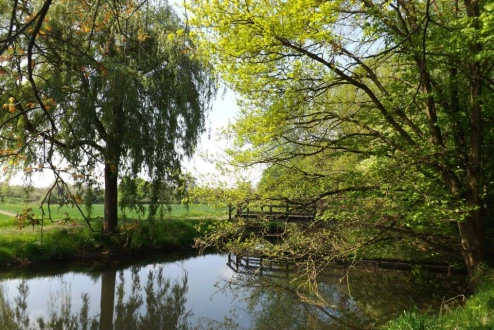 Natur in der Ortenau